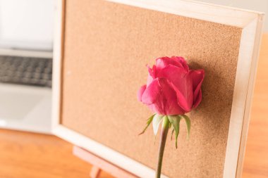 Gül ile kağıt Not 