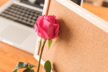 Gül ile kağıt Not 