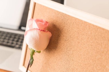 Gül ile kağıt Not 