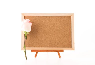 rose ile sanat kurulu