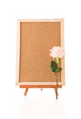 rose ile sanat kurulu