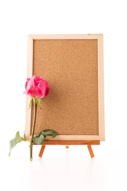 rose ile sanat kurulu