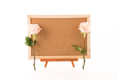 rose ile sanat kurulu