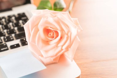 Mercan kağıt Not ile gül 