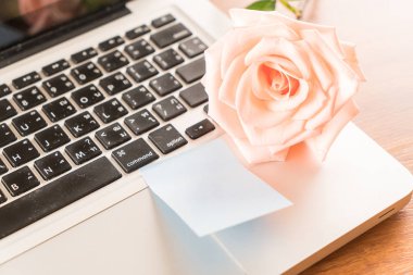 Mercan kağıt Not ile gül 