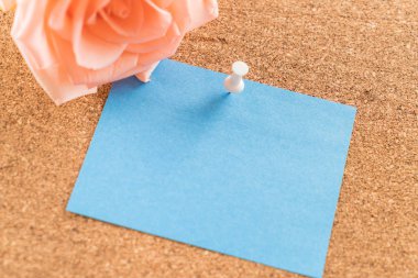 Gül ile kağıt Not 