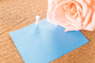 Gül ile kağıt Not 