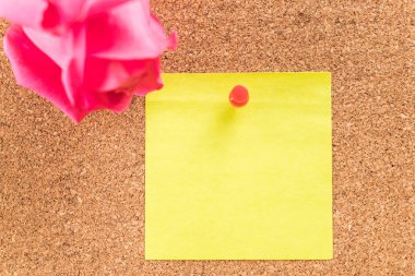 Gül ile kağıt Not 