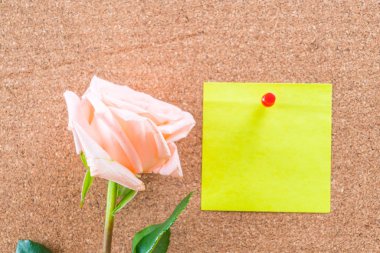 Gül ile kağıt Not 