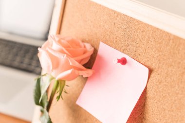 Gül ile kağıt Not 