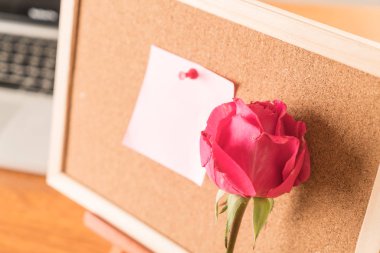 Gül ile kağıt Not 