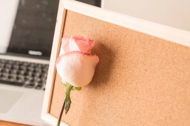 Gül ile kağıt Not 