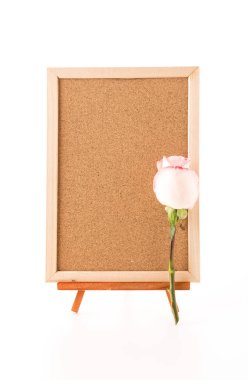 rose ile sanat kurulu