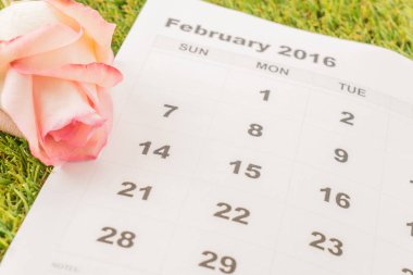 Takvimde gül 