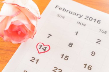 Takvimde gül 