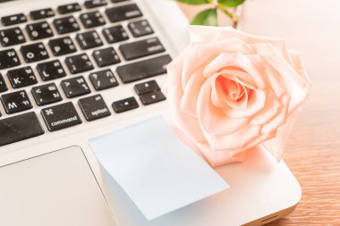 Mercan kağıt Not ile gül 