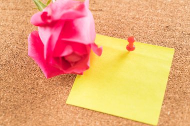 Gül ile kağıt Not 