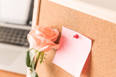 Gül ile kağıt Not 