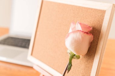 Gül ile kağıt Not 