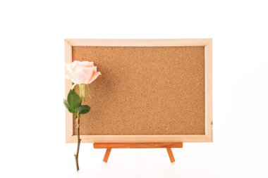 rose ile sanat kurulu