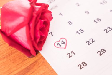 Gül takvim tarihini taşıyan 14 Şubat Sevgililer da