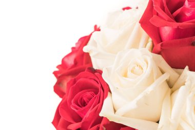 Beyaz üzerine kırmızı gül