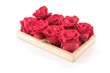 Beyaz üzerine kırmızı gül