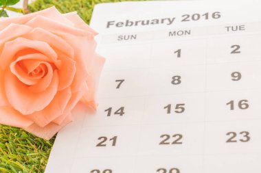Takvimde gül 