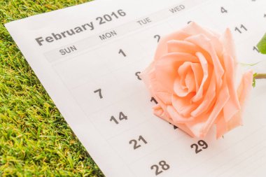 Takvimde gül 