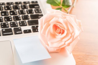 Mercan kağıt Not ile gül 