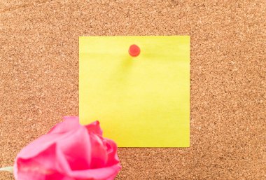 Gül ile kağıt Not 