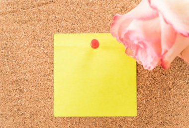 Gül ile kağıt Not 