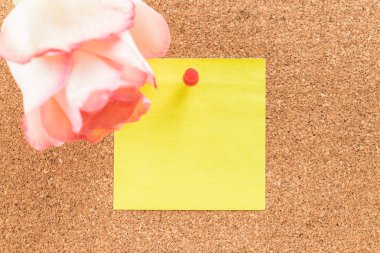 Gül ile kağıt Not 