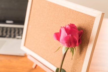 Gül ile kağıt Not 