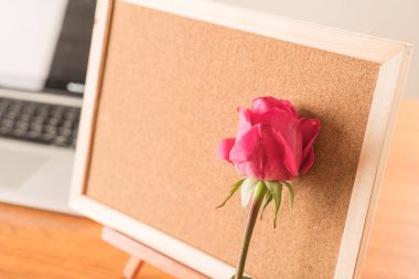 Gül ile kağıt Not 