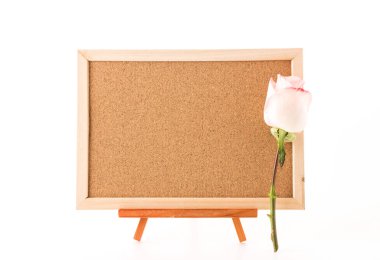 rose ile sanat kurulu