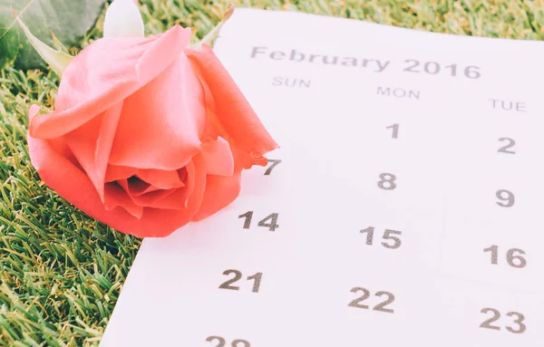 Rose on the calendar — Stock Photo, Image