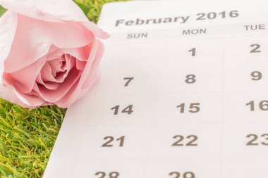 Takvimde gül 