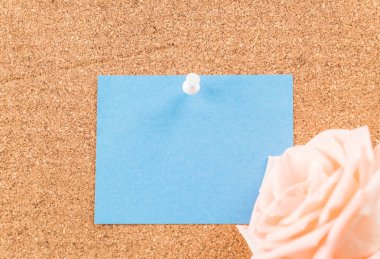 Gül ile kağıt Not 