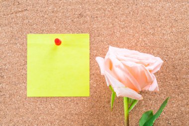 Gül ile kağıt Not 