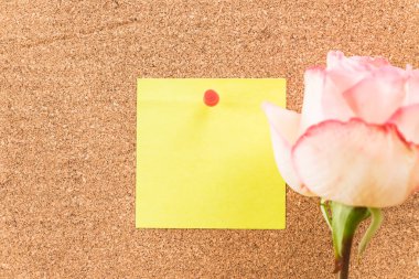 Gül ile kağıt Not 
