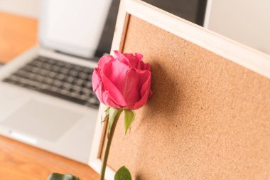 Gül ile kağıt Not 