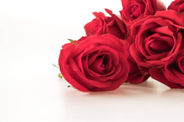 Beyaz arkaplanda kırmızı gül