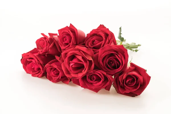 Red rose on white background — Stock Photo, Image