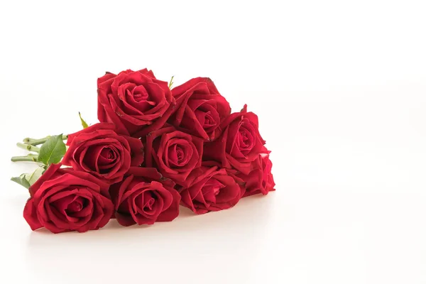 Rose rouge sur fond blanc — Photo
