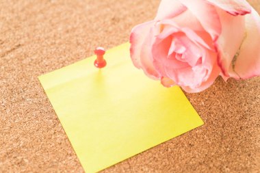 Gül ile kağıt Not 