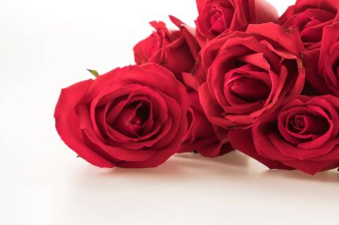 Beyaz üzerine kırmızı gül