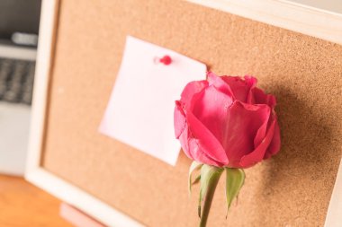 Gül ile kağıt Not 