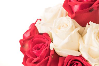 Beyaz üzerine kırmızı gül