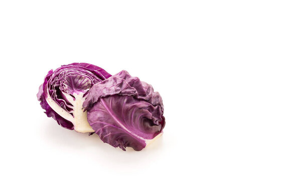 Purple cabbage on white background